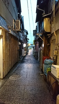 DSC_0235.JPG